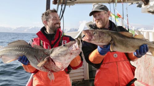 Dr Derek Muller cod fishing in Norway